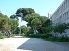 Lycée Frederic Mistral 